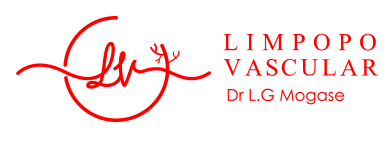 LV Logo